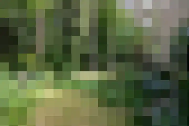 Schubertlaan 1 Bilthoven thumbnail 28