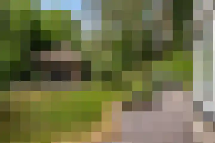 Schubertlaan 1 Bilthoven thumbnail 30