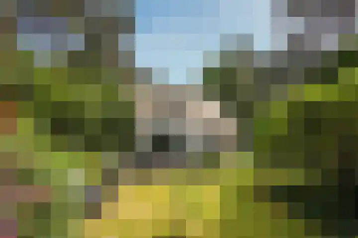 Schubertlaan 1 Bilthoven thumbnail 31