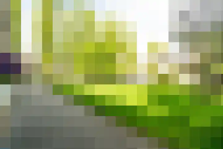Schubertlaan 116 Leiden thumbnail 13