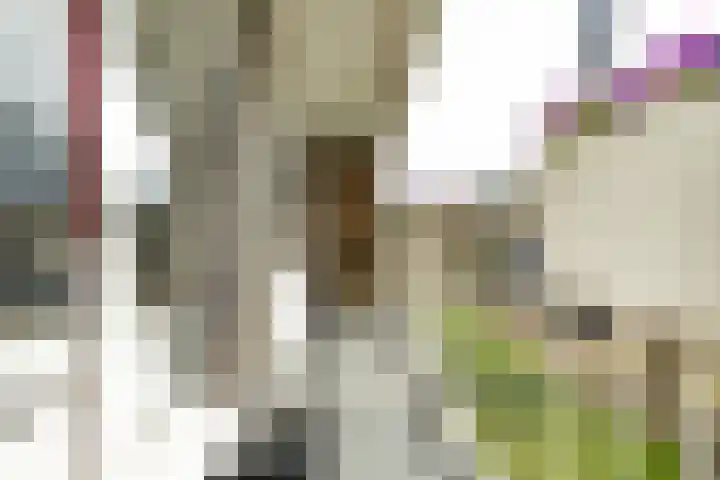 Schubertlaan 116 Leiden thumbnail 21