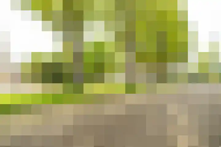 Schubertlaan 116 Leiden thumbnail 37
