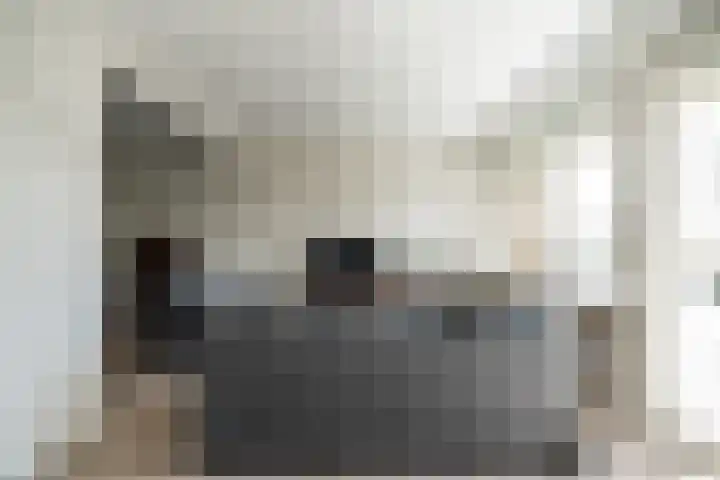 Schubertlaan 116 Leiden thumbnail 6
