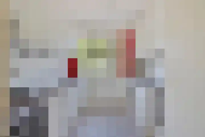 Schubertlaan 245 Leiden foto 3