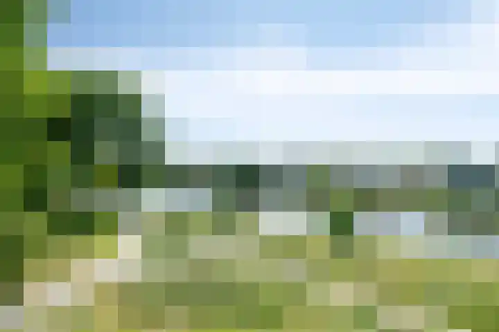 Schubertlaan 245 Leiden thumbnail 4