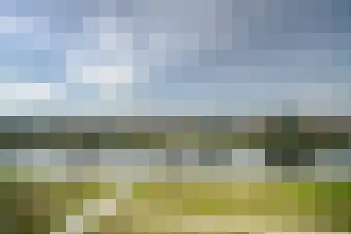 Schubertlaan 263 Leiden thumbnail 4