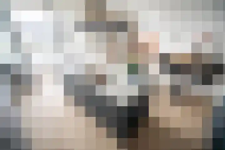 Schubertlaan 263 Leiden thumbnail 5