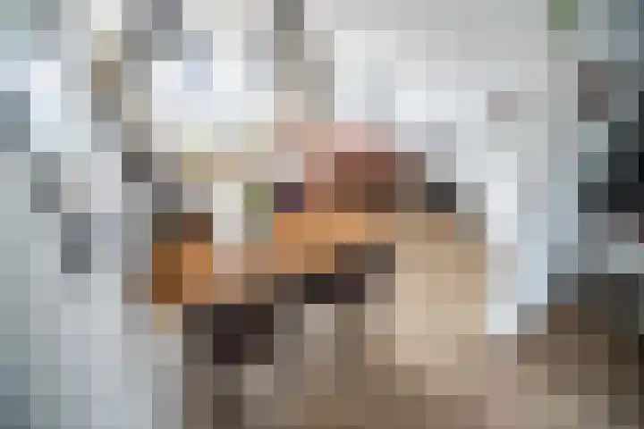 Schubertlaan 263 Leiden thumbnail 6