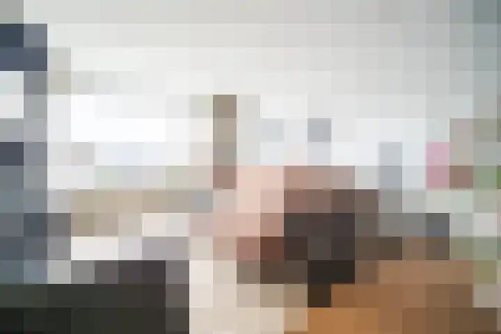 Schubertlaan 263 Leiden thumbnail 8