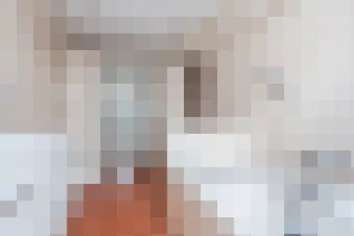 Schubertlaan 3 Helmond thumbnail 22