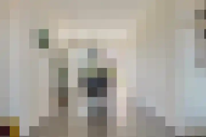 Schubertlaan 61 Rotterdam thumbnail 13