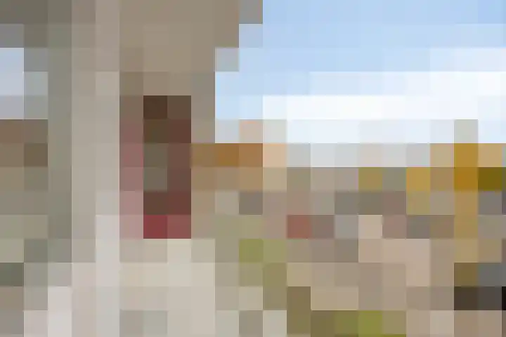 Schubertlaan 98 Leiden thumbnail 4