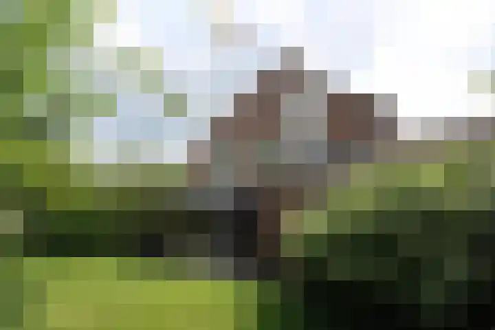 Schubertstraat 5 Groesbeek thumbnail 6