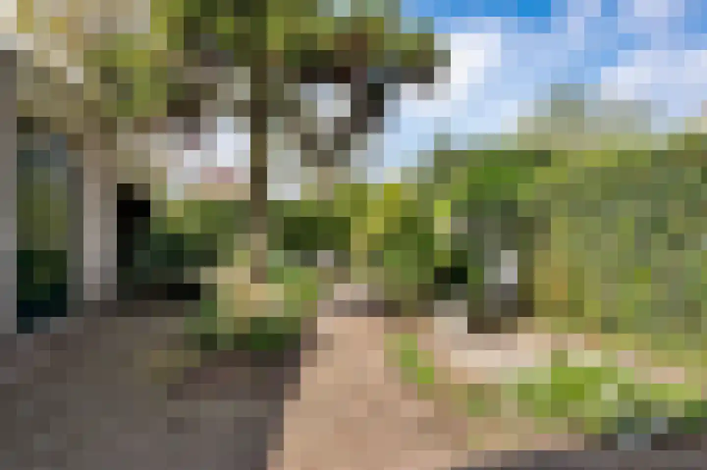 Schubertstraat 8 Schijndel thumbnail 32