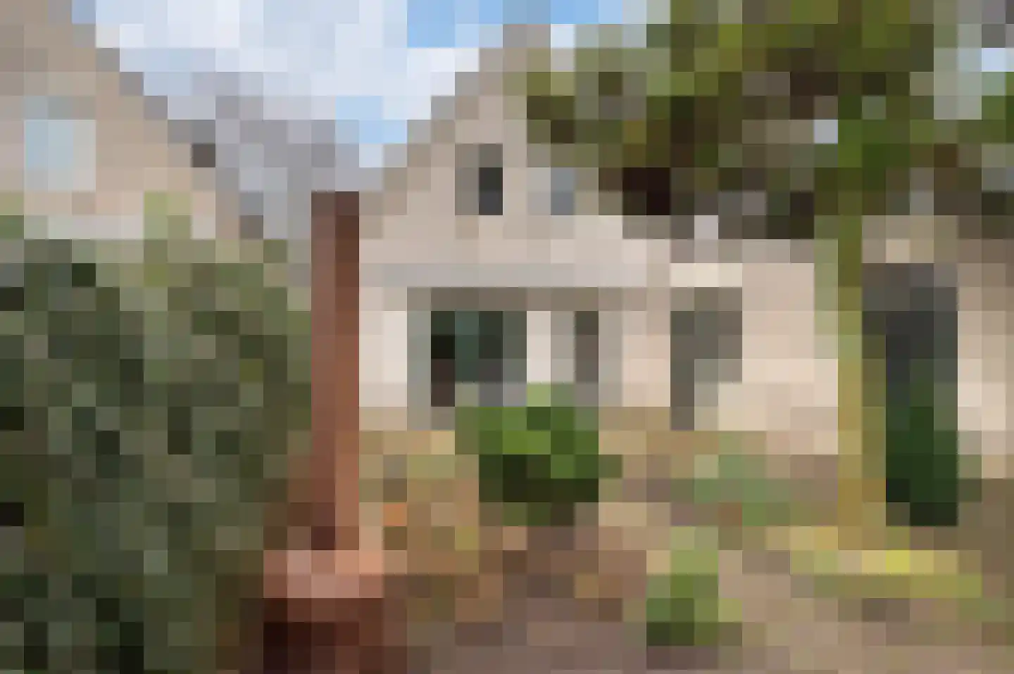 Schubertstraat 8 Schijndel thumbnail 36