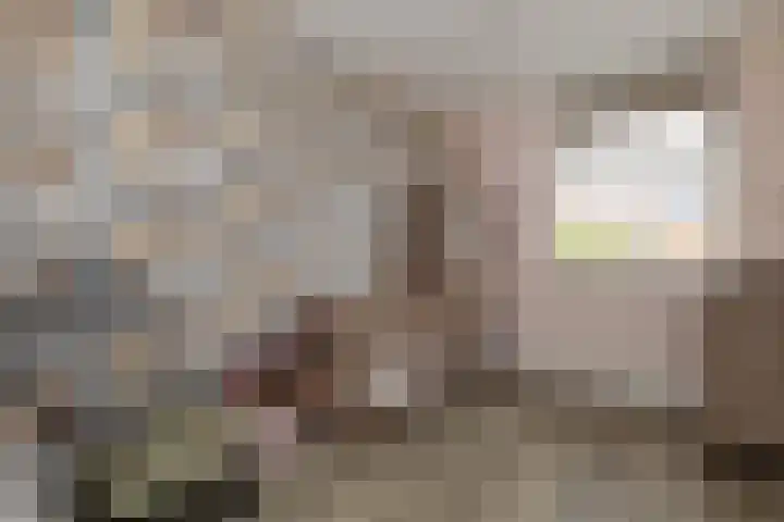 Schuilenburg 28 Raalte thumbnail 23