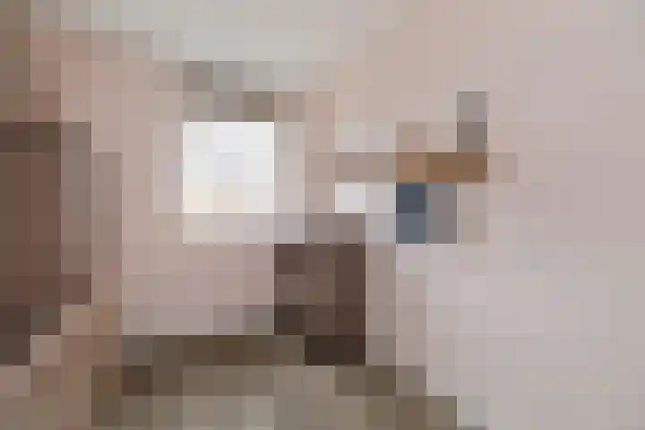 Schuilenburg 28 Raalte thumbnail 24