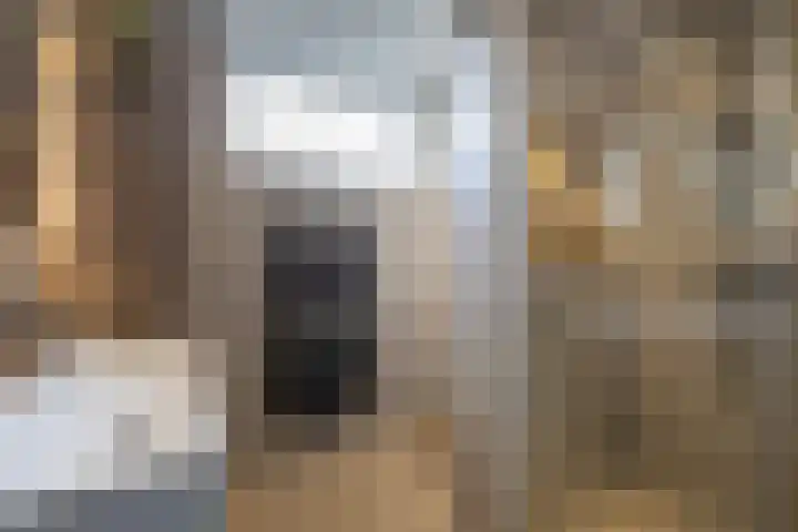 Schuilenburg 28 Raalte thumbnail 25