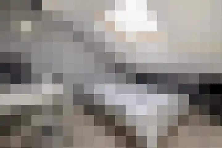 Schuilenburg 28 Raalte thumbnail 29