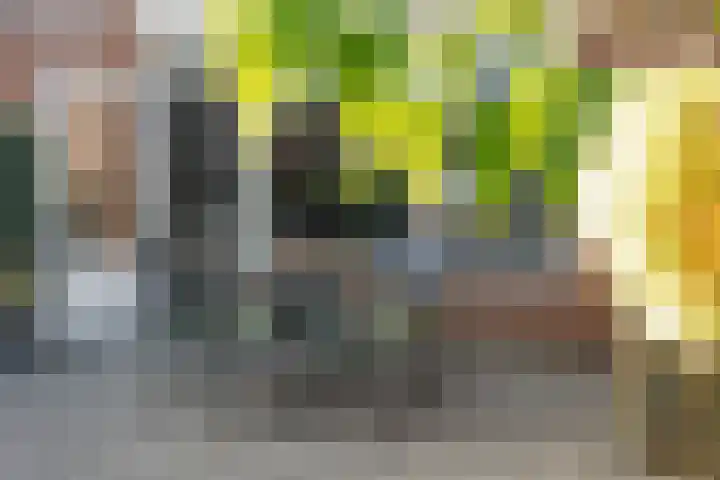 Schuilenburg 28 Raalte thumbnail 34