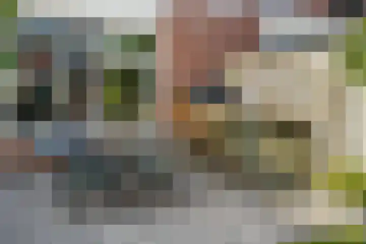 Schuilenburg 28 Raalte thumbnail 35
