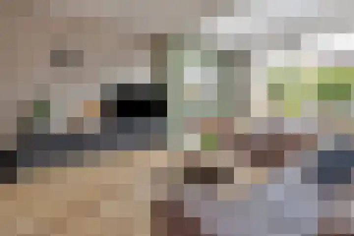 Schuilenburg 28 Raalte thumbnail 6
