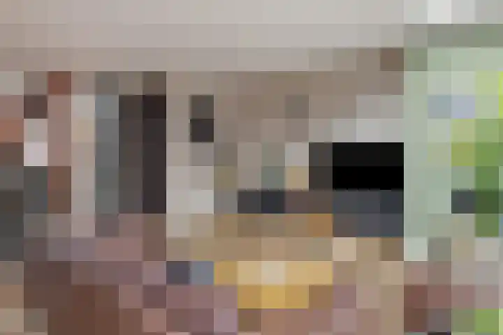 Schuilenburg 28 Raalte thumbnail 7