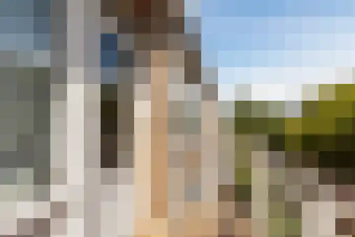 Schuilingsoord 161 Rotterdam thumbnail 16