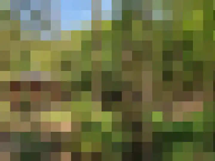 Schuinpad 12 Oldeberkoop thumbnail 22