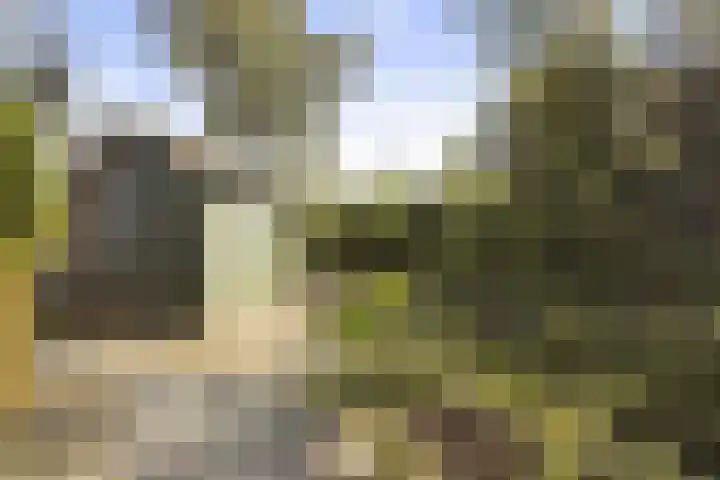 Schukkingpad 3 Havelte thumbnail 15