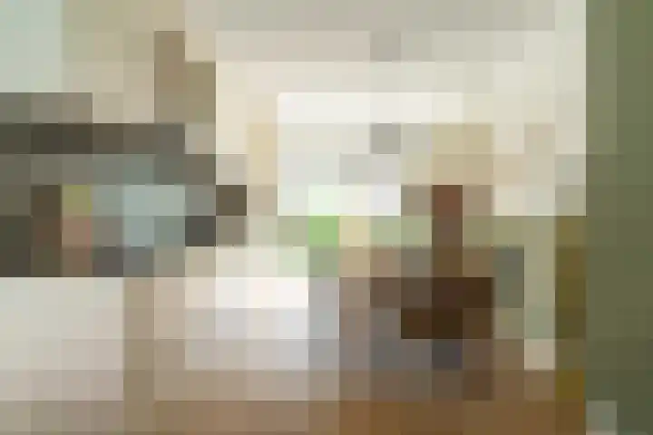Schulk 11 Hooglanderveen thumbnail 11