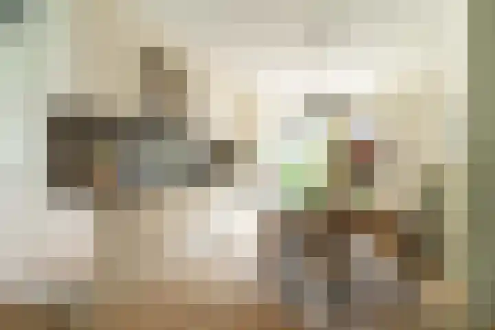 Schulk 11 Hooglanderveen thumbnail 12
