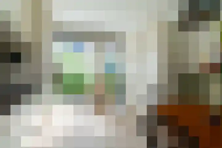 Schulk 11 Hooglanderveen thumbnail 13