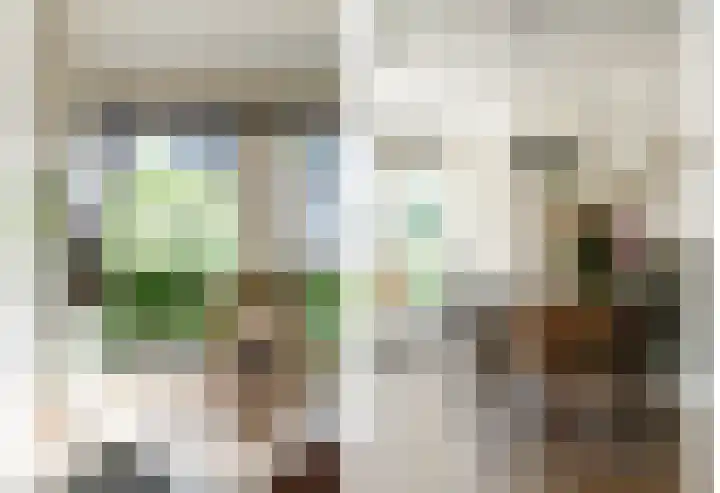 Schulk 11 Hooglanderveen thumbnail 14