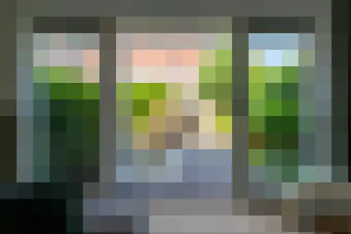 Schulk 11 Hooglanderveen thumbnail 24