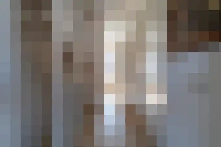 Schulk 11 Hooglanderveen thumbnail 25
