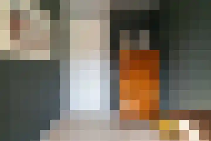 Schulk 11 Hooglanderveen thumbnail 27