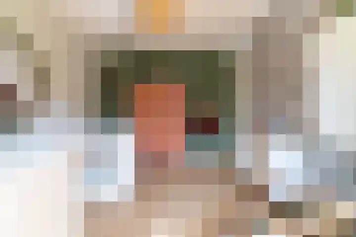 Schulk 11 Hooglanderveen thumbnail 32