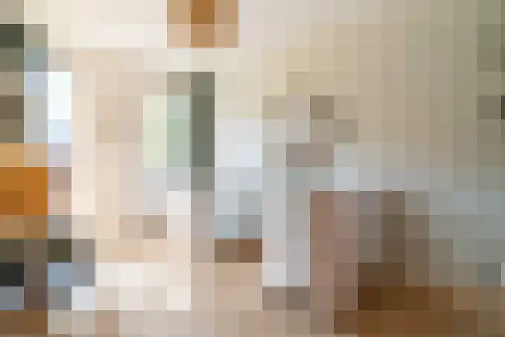 Schulk 11 Hooglanderveen thumbnail 33