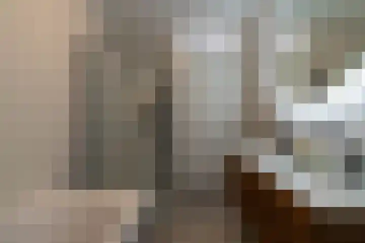 Schulk 11 Hooglanderveen thumbnail 38