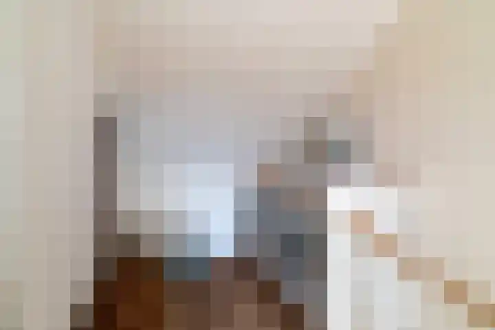 Schulk 11 Hooglanderveen thumbnail 39