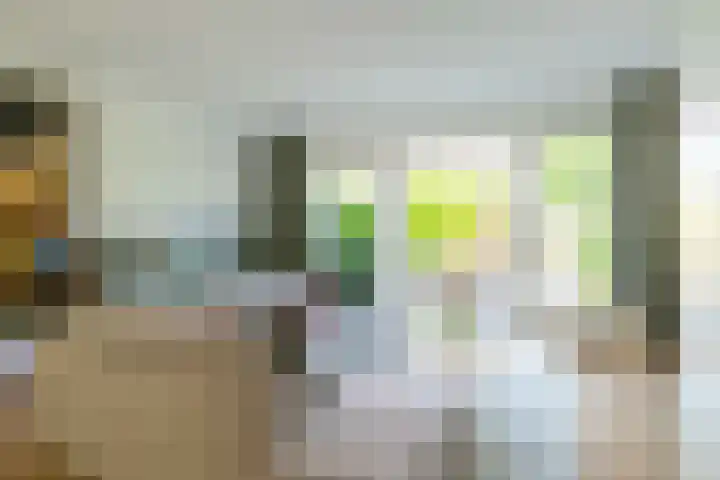 Schulk 11 Hooglanderveen thumbnail 4