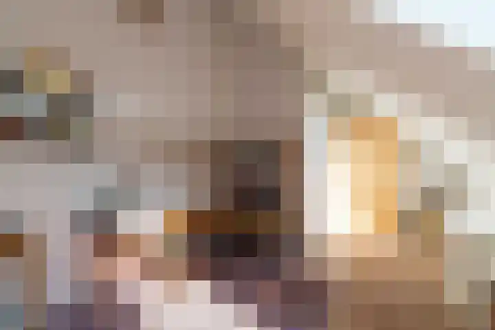 Schulk 11 Hooglanderveen thumbnail 42