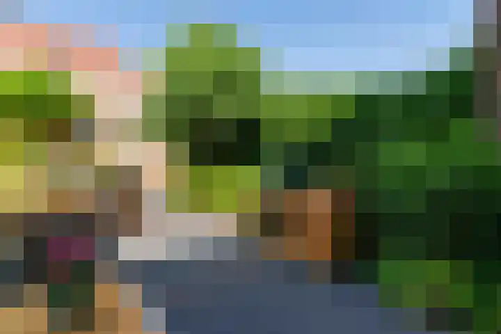 Schulk 11 Hooglanderveen thumbnail 47