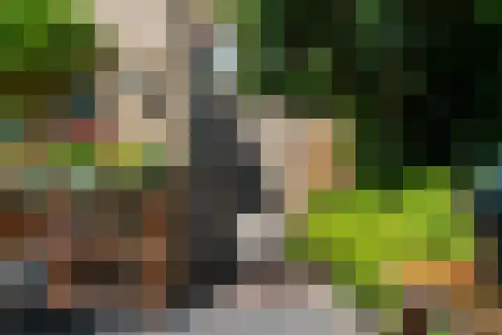 Schulk 11 Hooglanderveen thumbnail 48