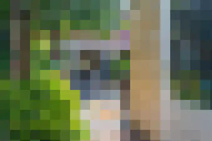 Schulk 11 Hooglanderveen thumbnail 49