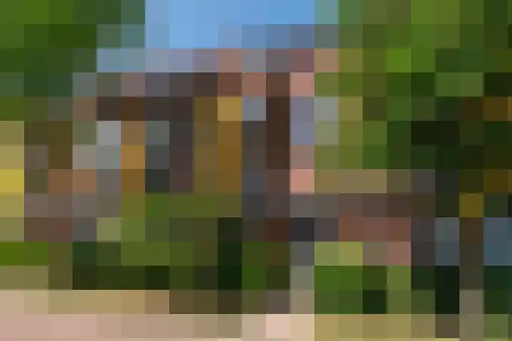 Schulk 11 Hooglanderveen thumbnail 5