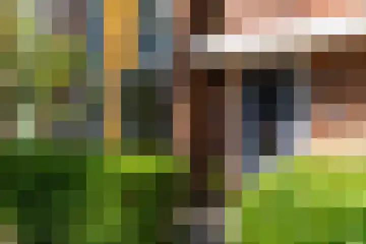 Schulk 11 Hooglanderveen thumbnail 7