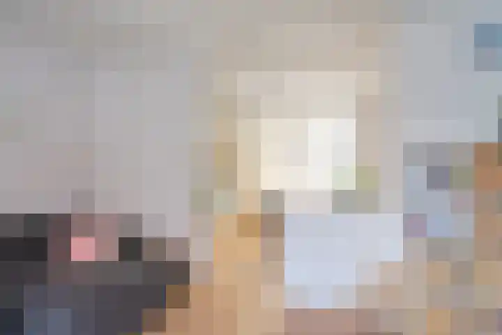 Schulpstet 4 Castricum thumbnail 11