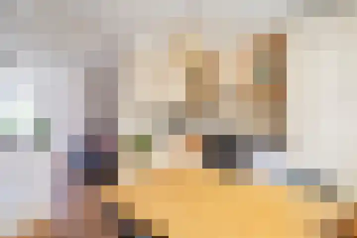 Schulpstet 4 Castricum thumbnail 13